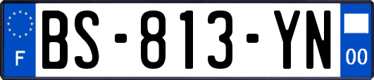 BS-813-YN