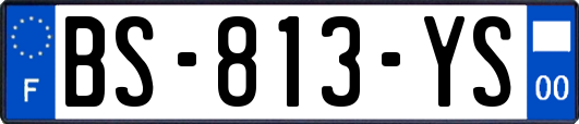 BS-813-YS