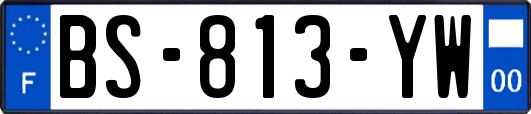 BS-813-YW