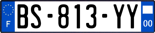 BS-813-YY