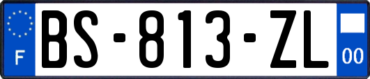 BS-813-ZL