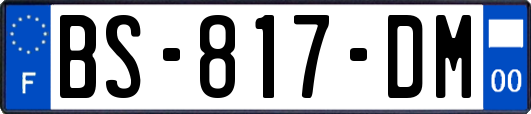 BS-817-DM