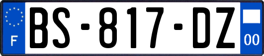 BS-817-DZ