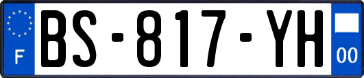 BS-817-YH