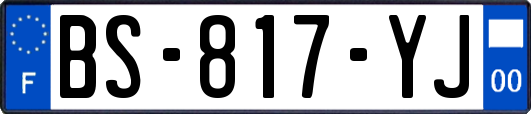 BS-817-YJ