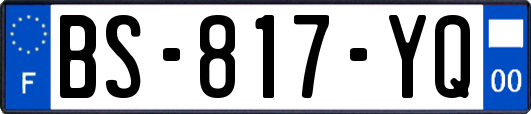 BS-817-YQ