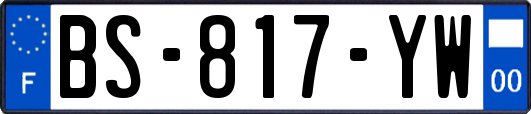 BS-817-YW