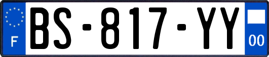 BS-817-YY