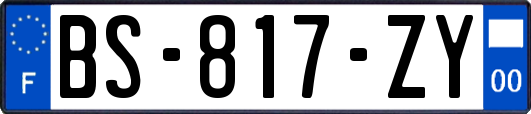 BS-817-ZY