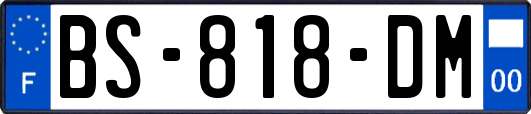 BS-818-DM