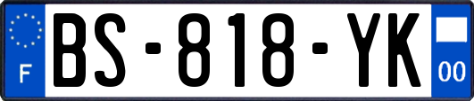 BS-818-YK