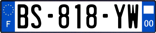 BS-818-YW