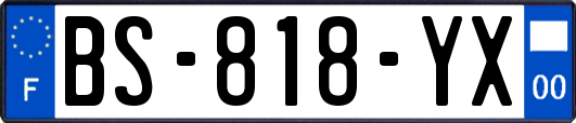 BS-818-YX