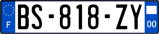 BS-818-ZY