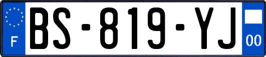 BS-819-YJ