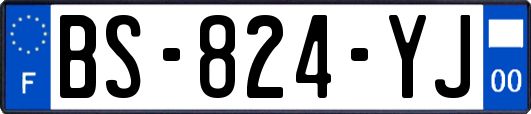BS-824-YJ