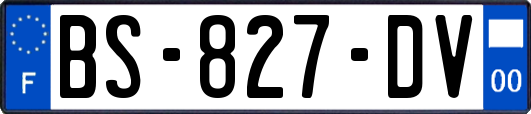 BS-827-DV