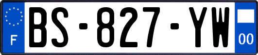 BS-827-YW