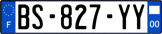 BS-827-YY