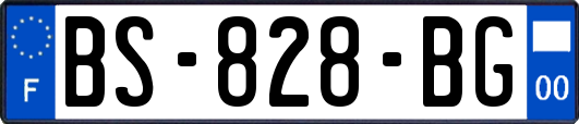 BS-828-BG