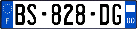 BS-828-DG