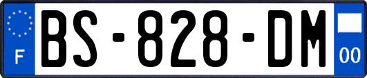 BS-828-DM