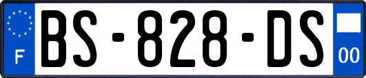 BS-828-DS