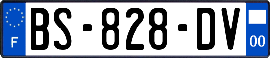 BS-828-DV