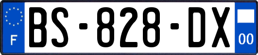 BS-828-DX