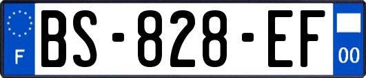 BS-828-EF