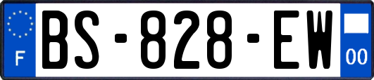 BS-828-EW