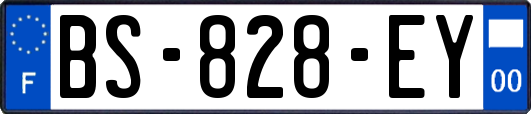 BS-828-EY