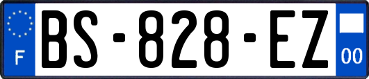 BS-828-EZ