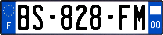 BS-828-FM