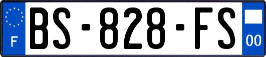 BS-828-FS