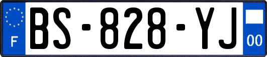BS-828-YJ