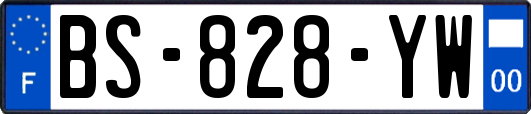 BS-828-YW