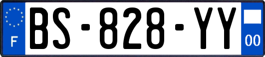 BS-828-YY