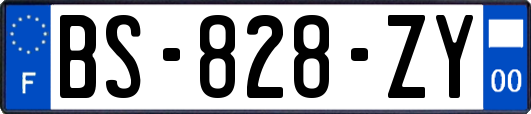 BS-828-ZY