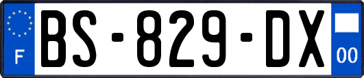 BS-829-DX