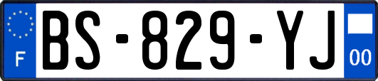 BS-829-YJ