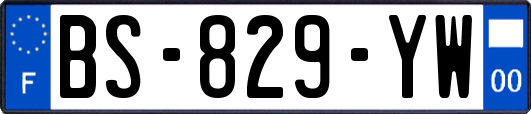 BS-829-YW