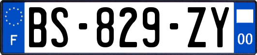 BS-829-ZY