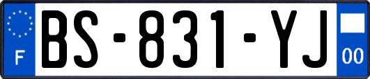 BS-831-YJ