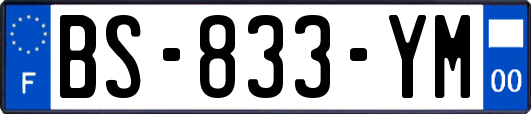 BS-833-YM