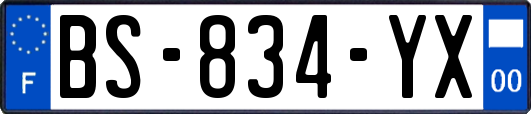 BS-834-YX