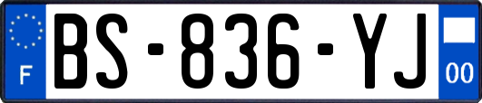 BS-836-YJ