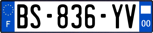 BS-836-YV