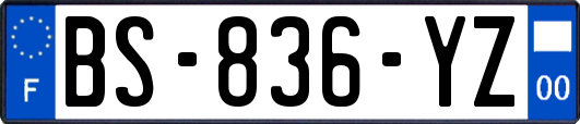 BS-836-YZ