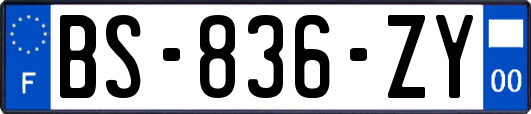 BS-836-ZY